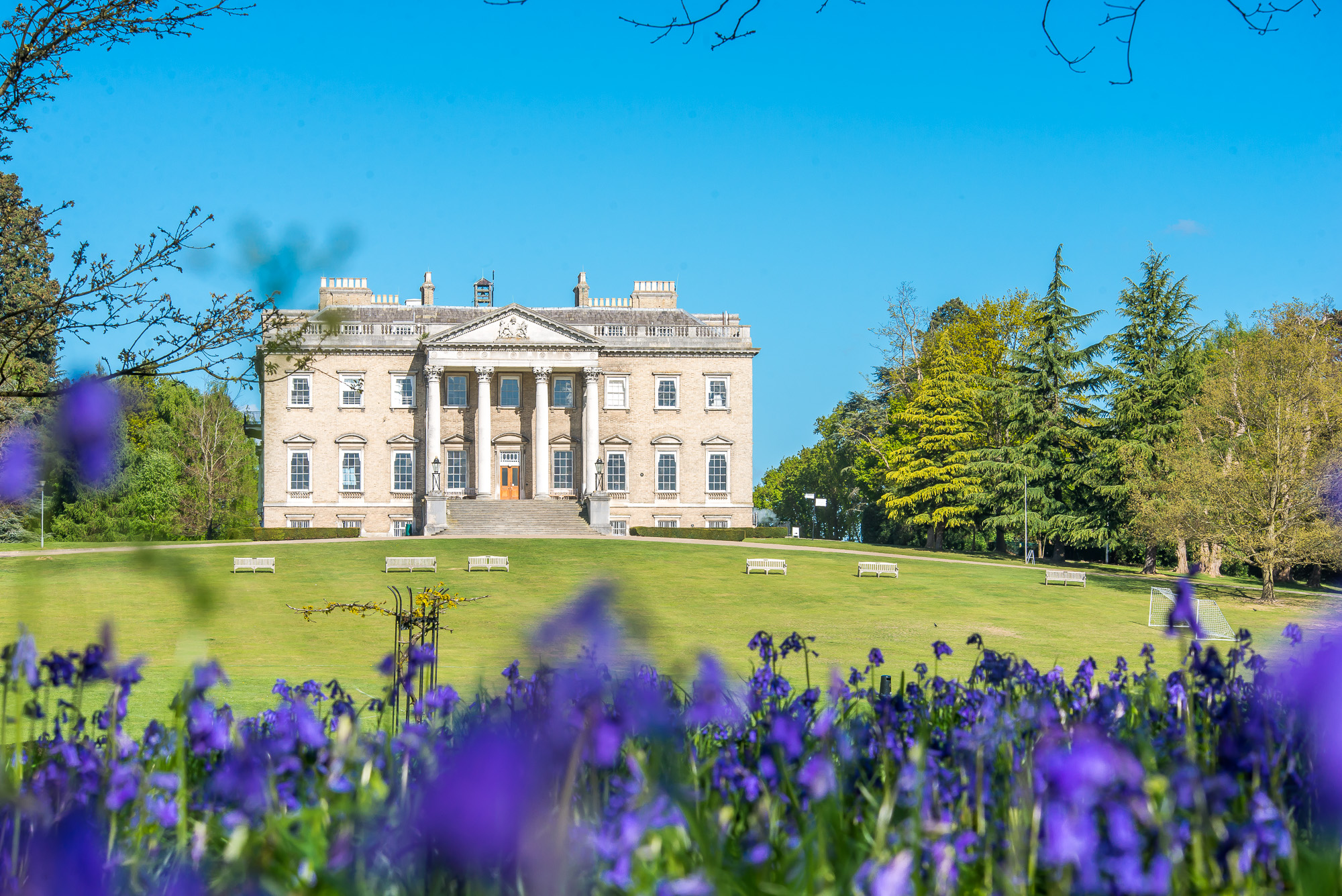 Mansion with bluebells in foreground