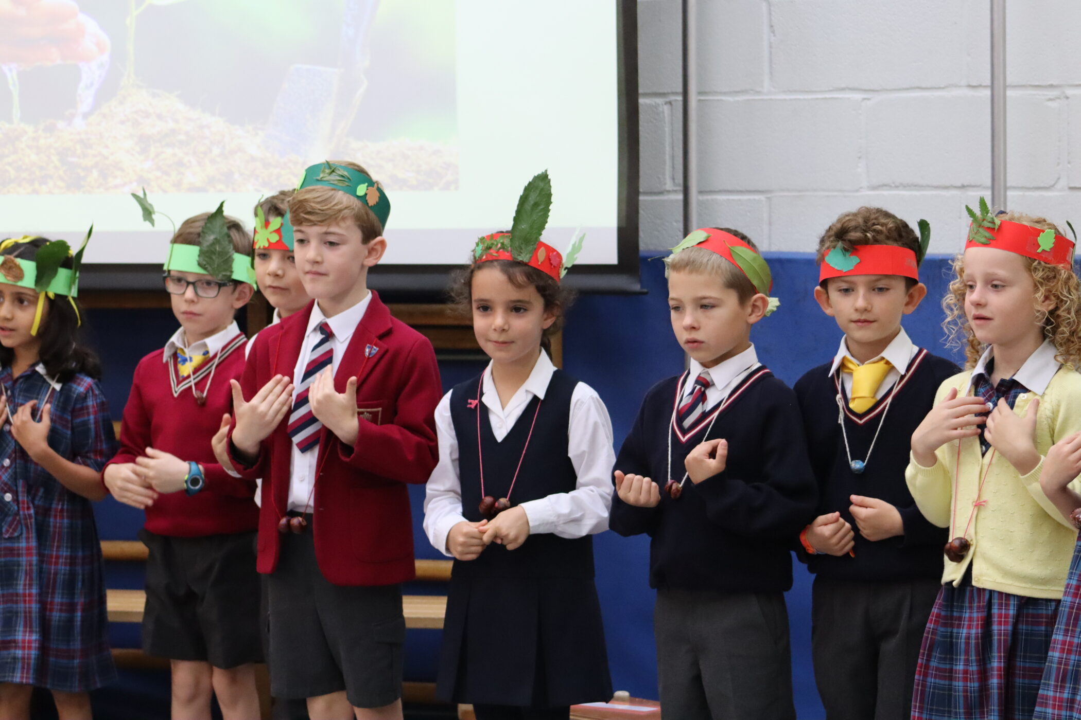 Y2 parent assembly
