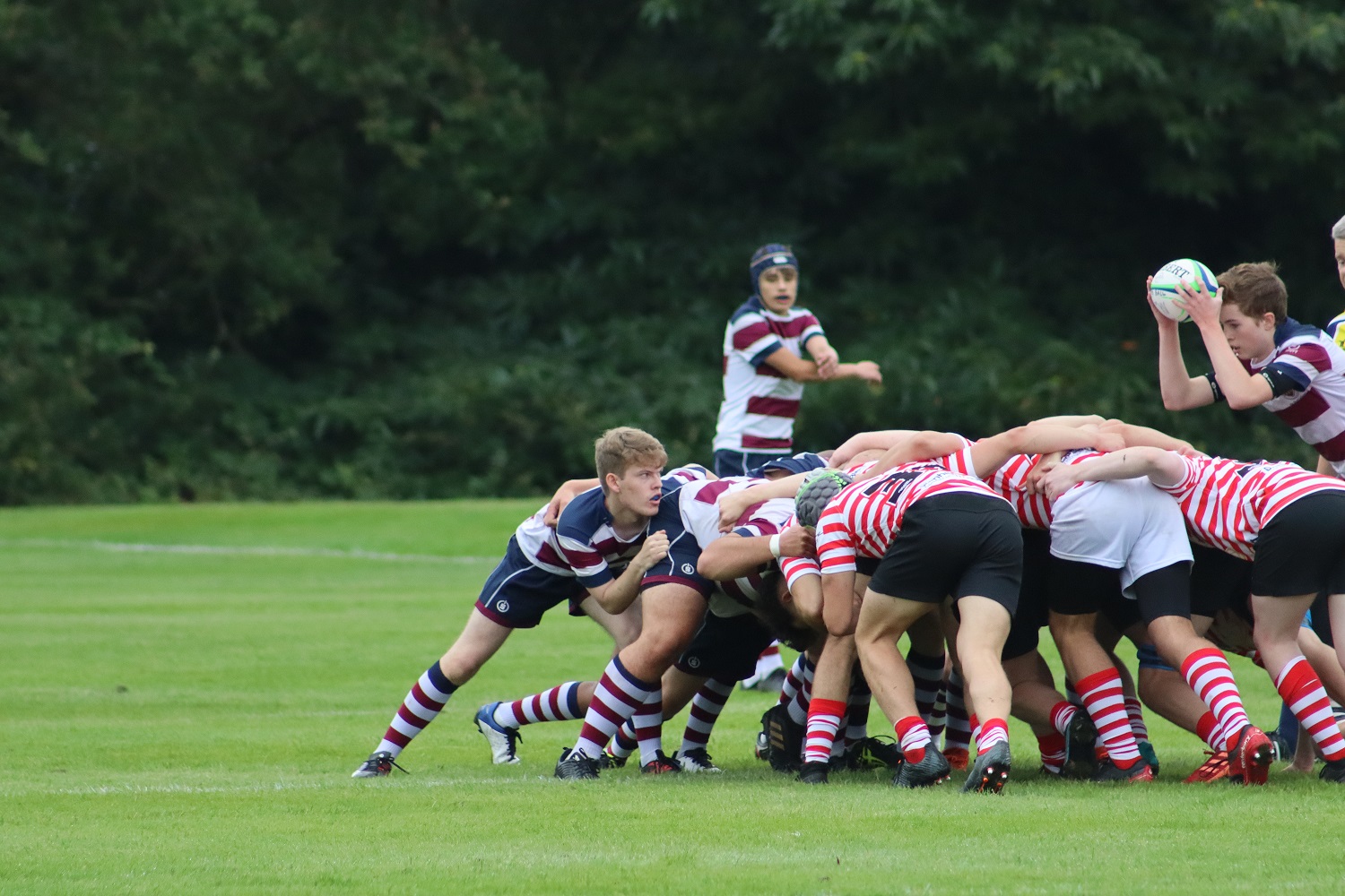1st XV rugby scrum